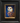 Owl No. 2, Oil Painting by Gail Potocki