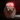 Aurora 'Pango' Creature Blinking Eye Pin